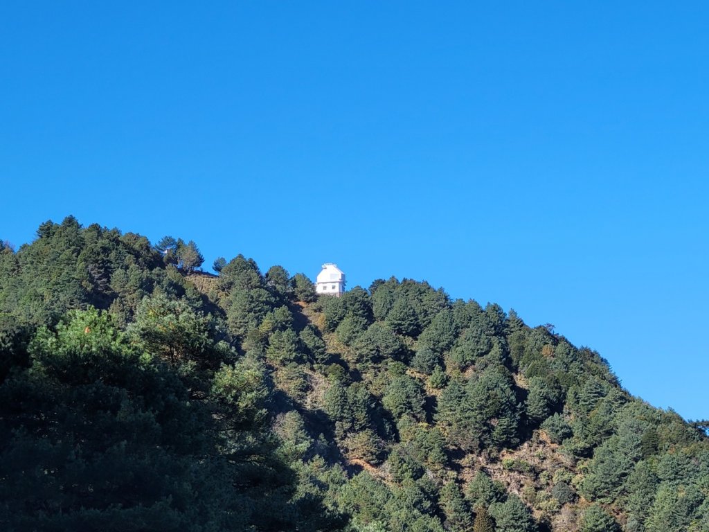 塔塔加三山+東埔山_2016747