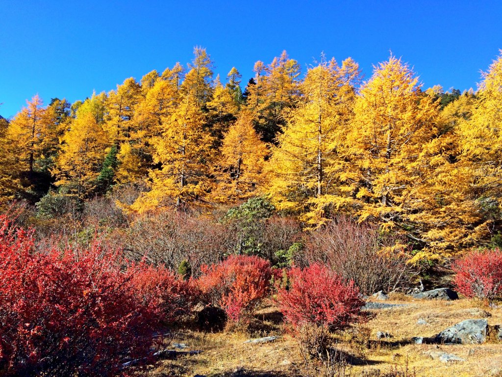 亞丁村、青蛙海 2018/10/24_514694