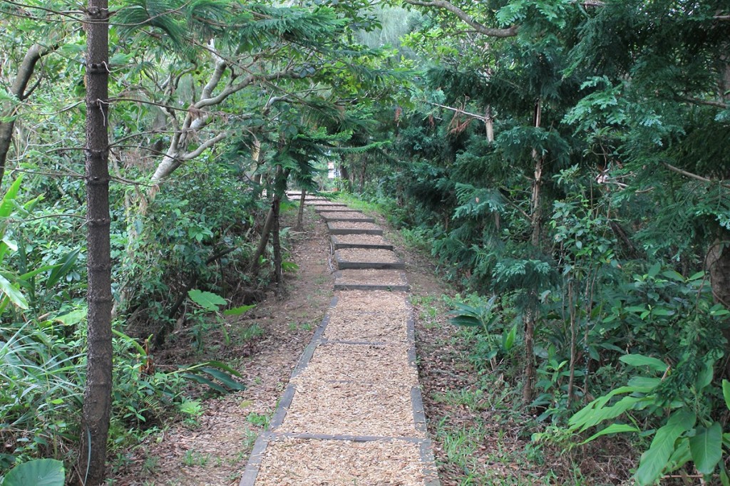 金山獅頭山步道.神秘海岸.燭臺雙嶼Ｏ型_242376