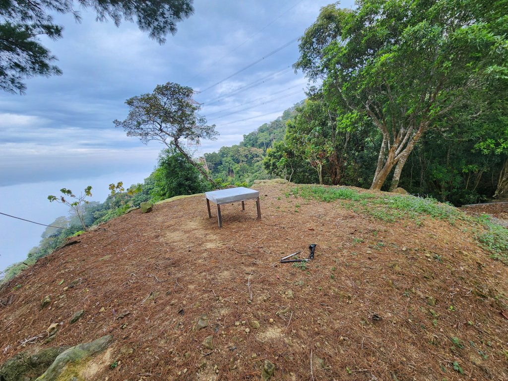 20241222二載山與大橫屏山南峰(追加鹽菜甕山、鹽菜甕下山)_2721506