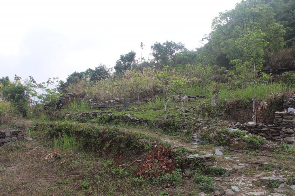 20230415屏東旗鹽主山_2117467