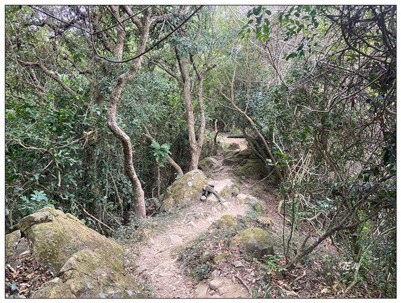 旗靈縱走(旗尾山、福美山、金字面山、人頭山、靈山)_2996447