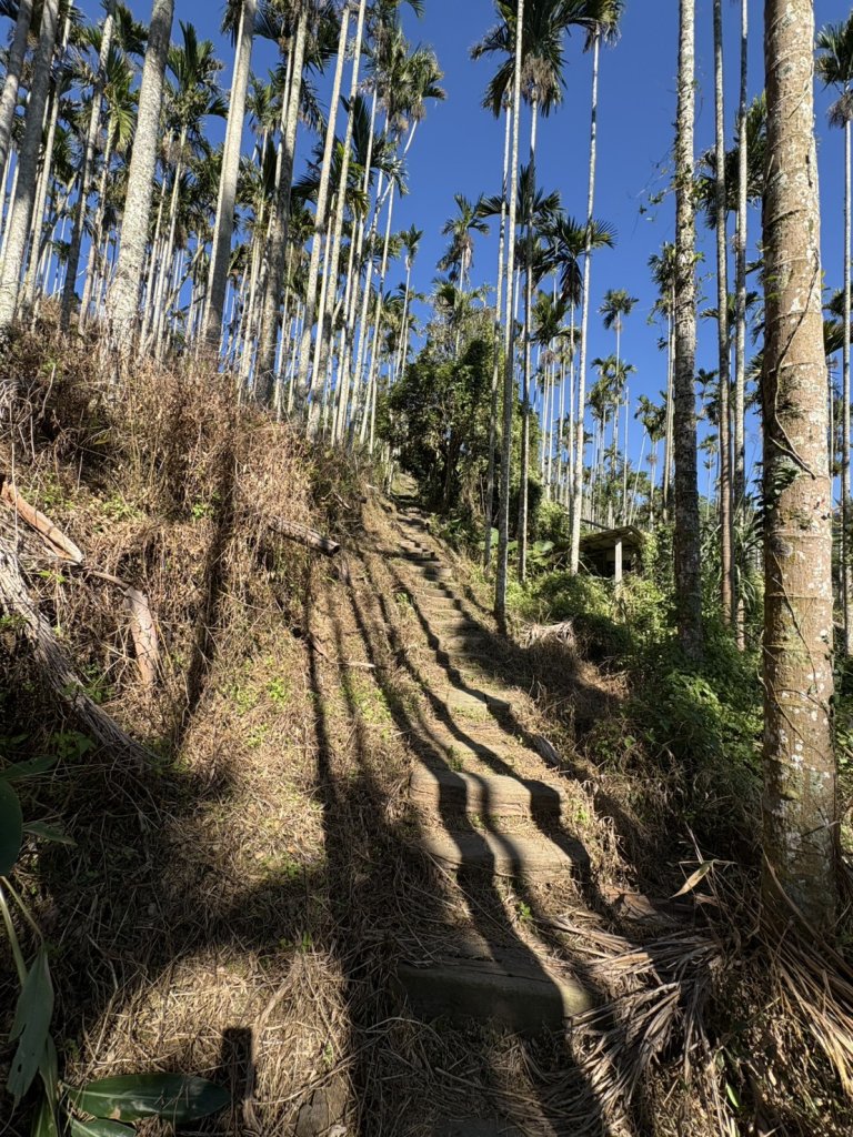 20251122獨立山國家步道+觀音石山+阿拔泉山_2944351
