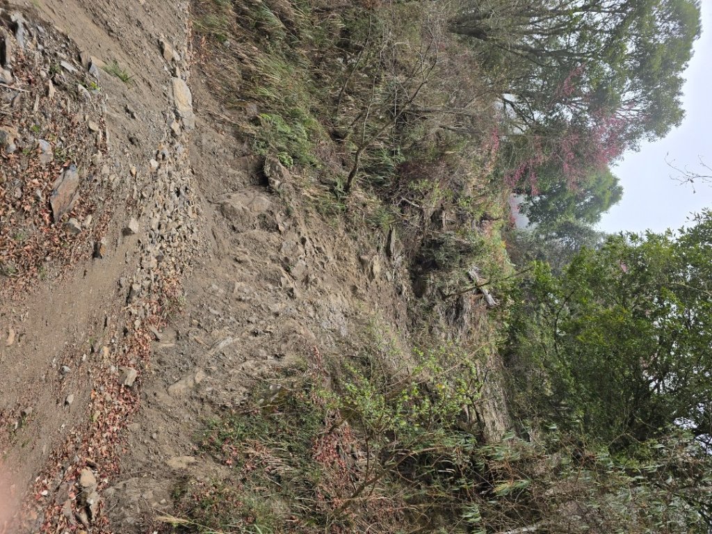 郡大神木群一日行_2440628