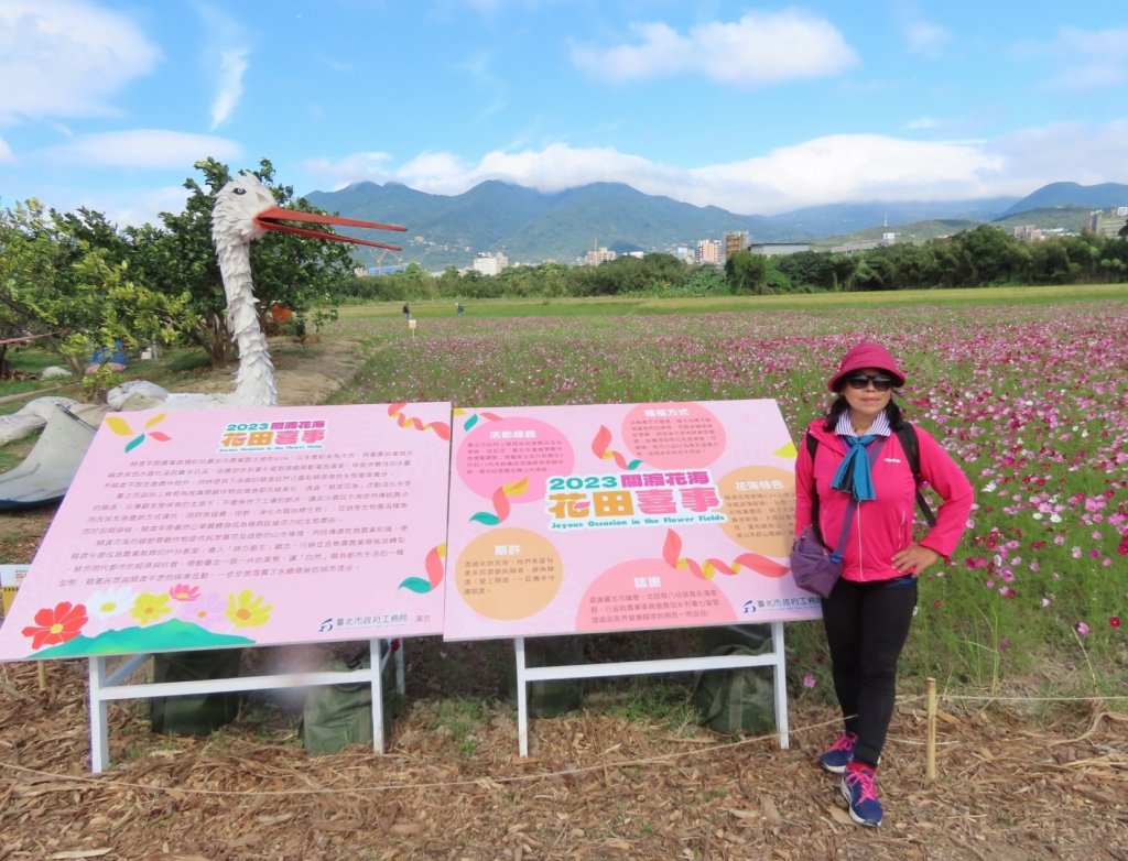 ［一日2大花海］（關渡花海+延平花海）（2023/11/15）_2352940