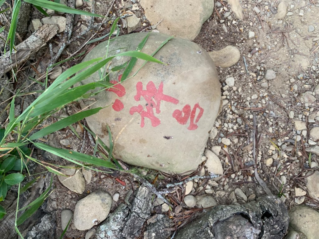 田中森林公園步道_1028875