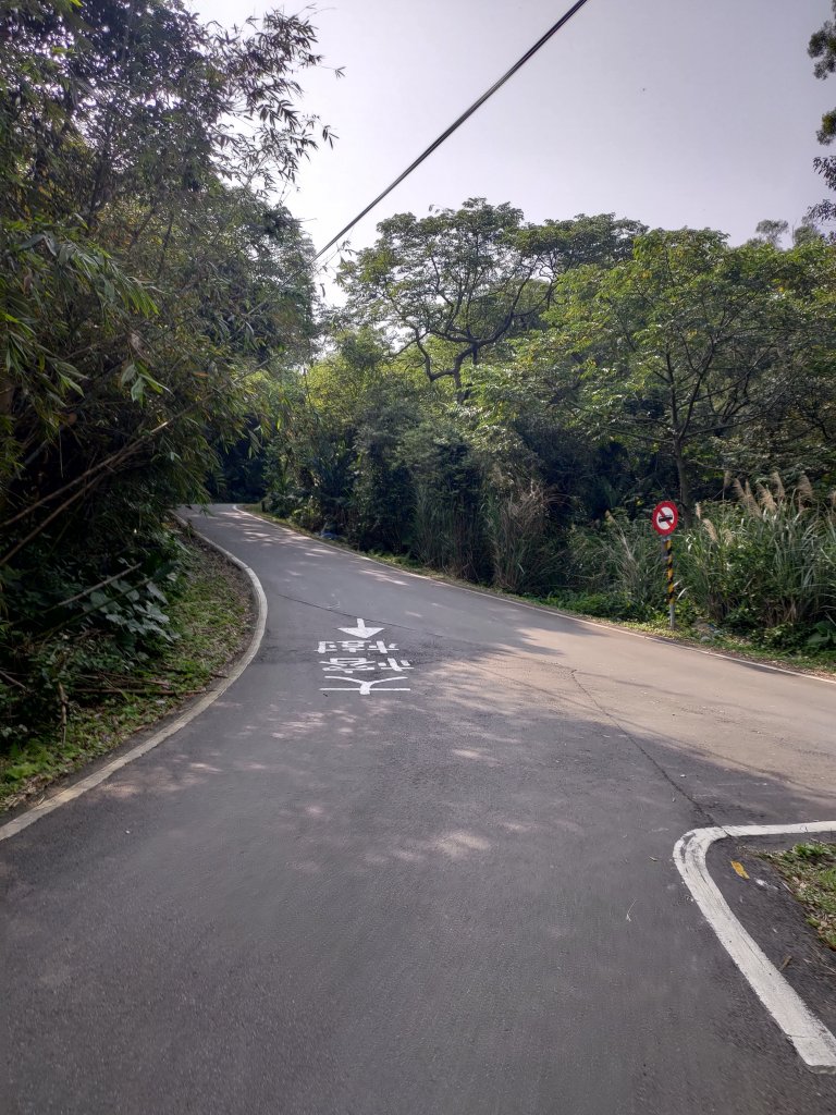 大棟山縱走(鶯歌上山佳下)_1319332