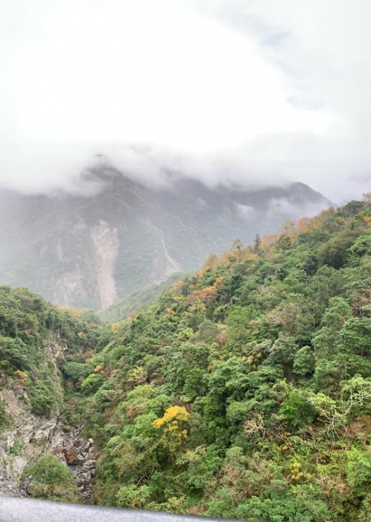 瓦拉米步道（八通關東段）_1992474