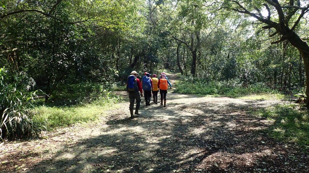 北部三大縱走之界寮大縱走_50229