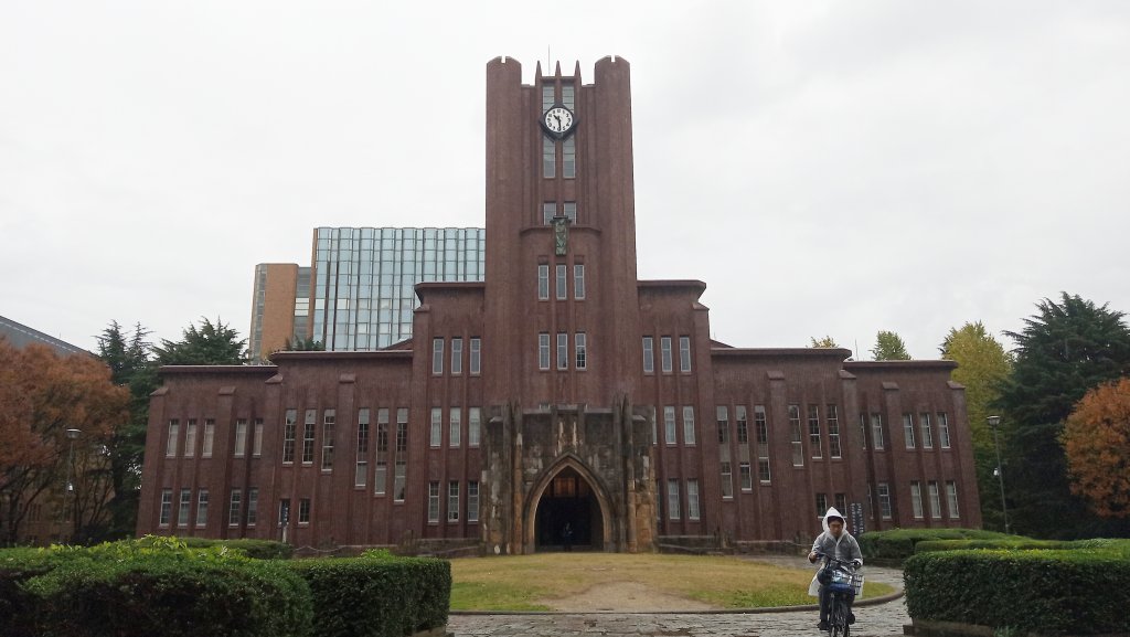 東京大學銀杏並木封面圖