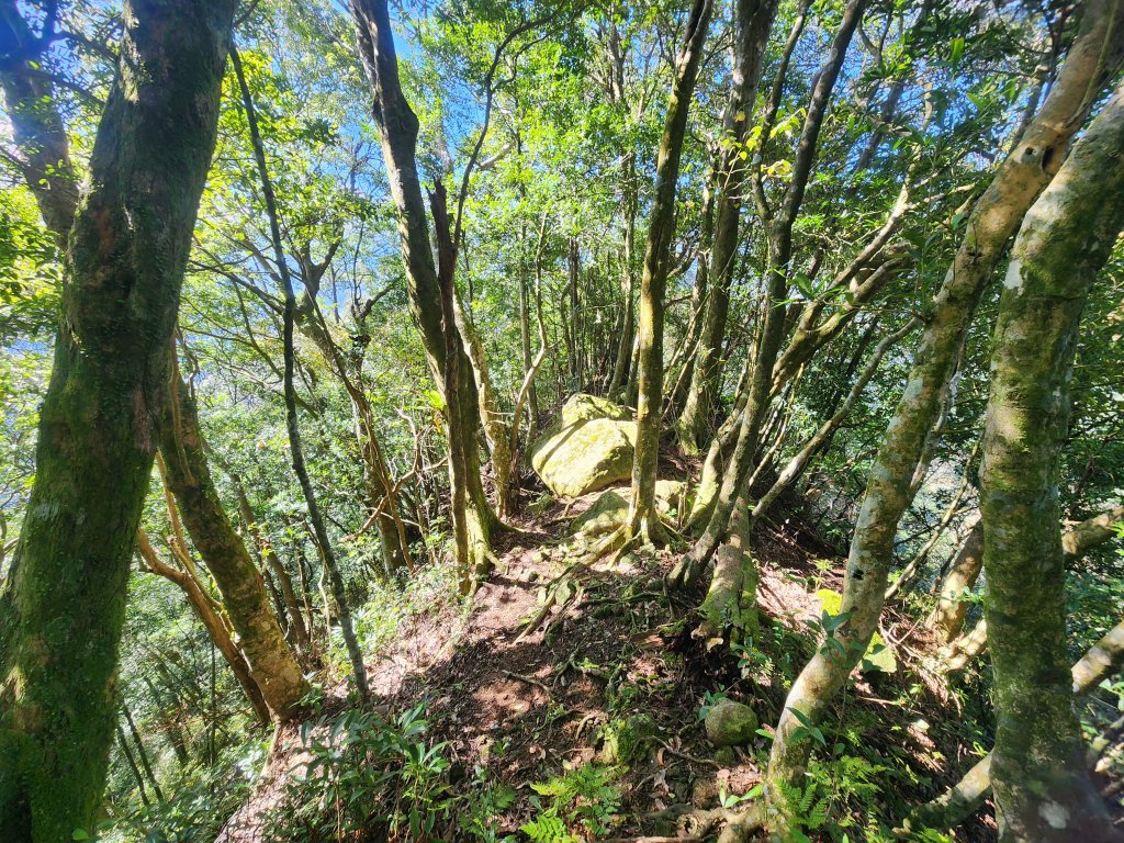 20251207火燒寮山熊空山竹坑山加九嶺O型_2966302