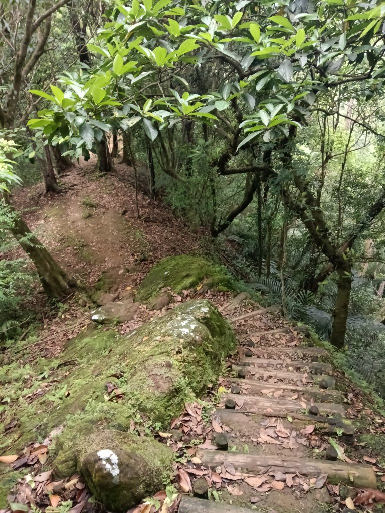 平溪區三功大厝+番子坑山+千階嶺步道O型_2781196