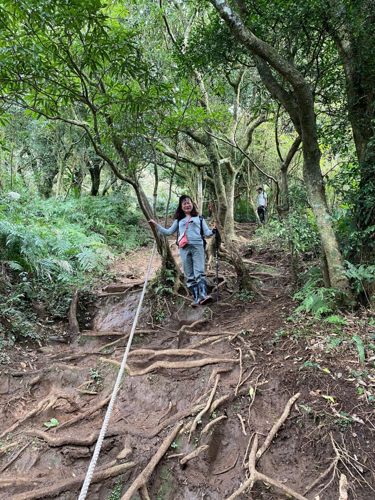 【臺北大縱走 2】鞍部→大屯群峰→清天宮_1276421