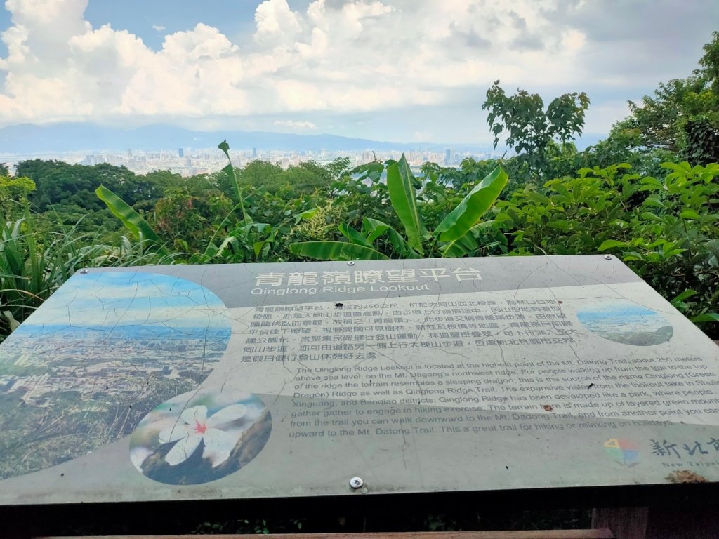 樹林［大棟山縱走］：大同山，青龍嶺，大棟山（2023/8/27）_2272292