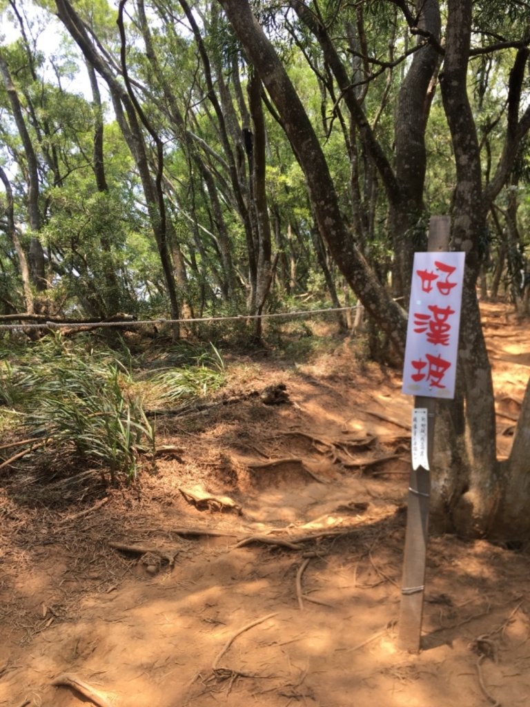 2020.3.27火炎山登山步道完走_905056