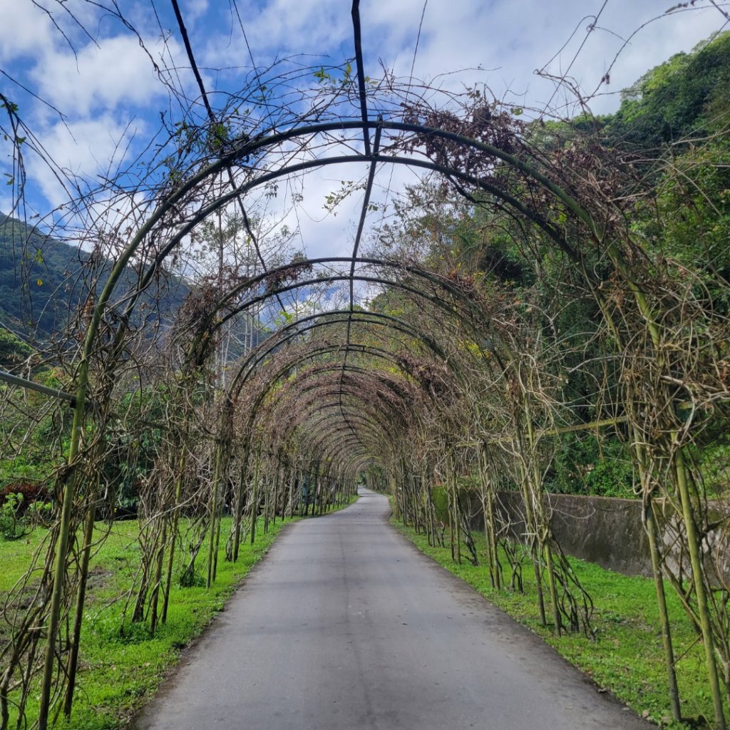 富源國家森林遊樂區_2002349