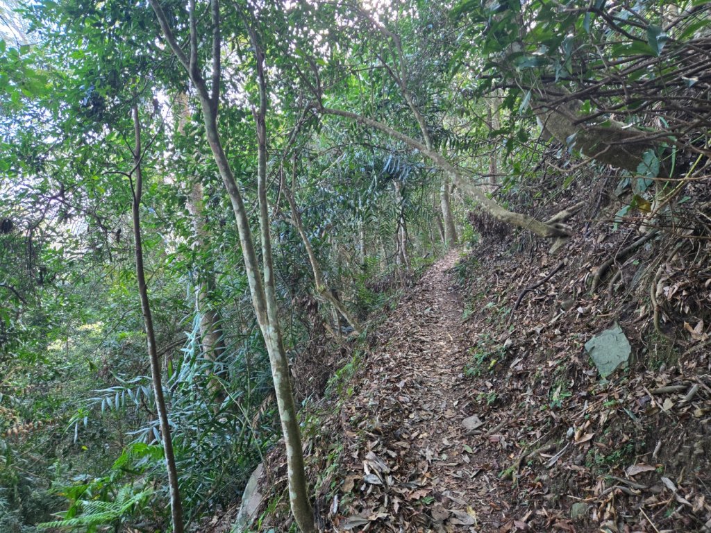 水雲三星～上島山（鳥嘴山）_2931238