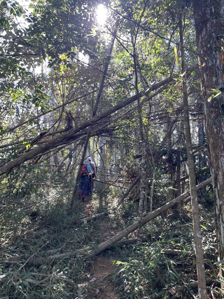 逐鹿古道_2941652