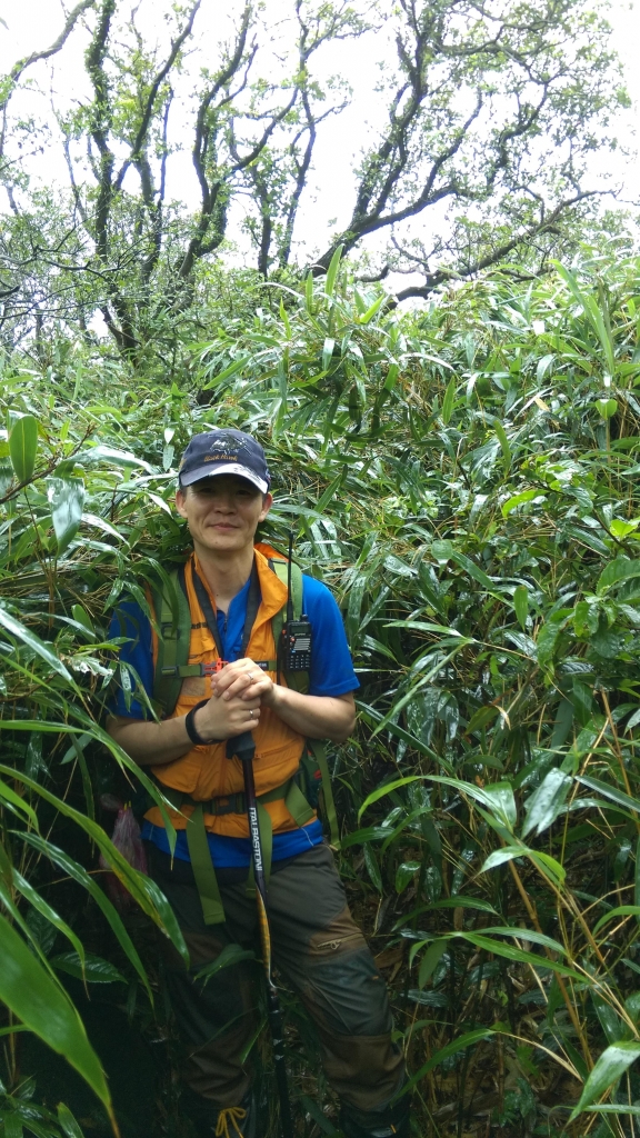 勇闖土匪大道~二坪頂古道尋幽訪古_52746