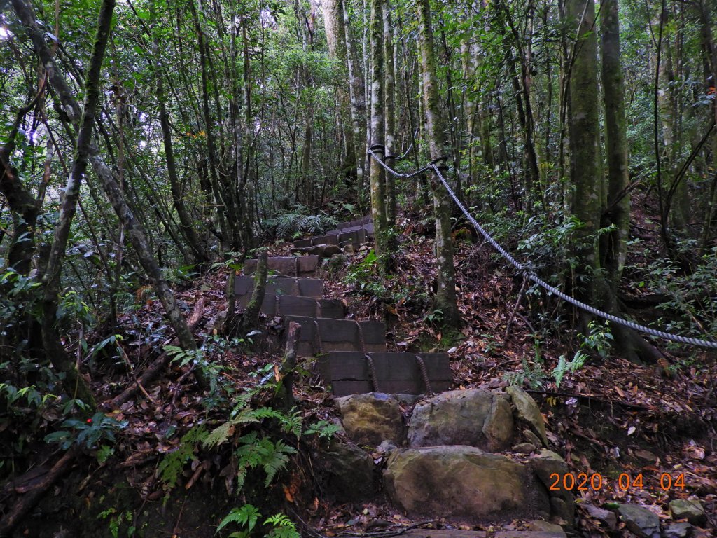 苗栗 泰安 北坑山_903697