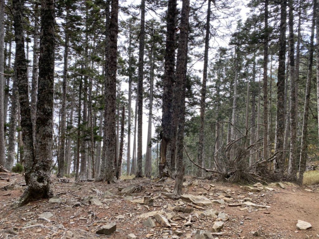 一日志雪_1406538