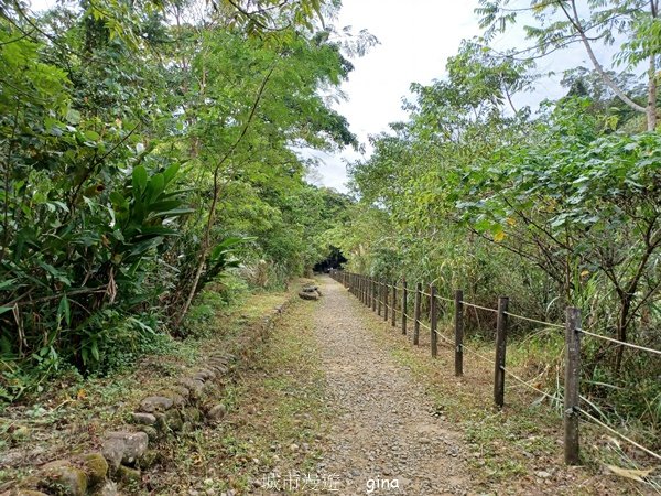 【苗栗南庄】沿途潺潺溪水聲。 蓬萊溪護魚步道_2688918