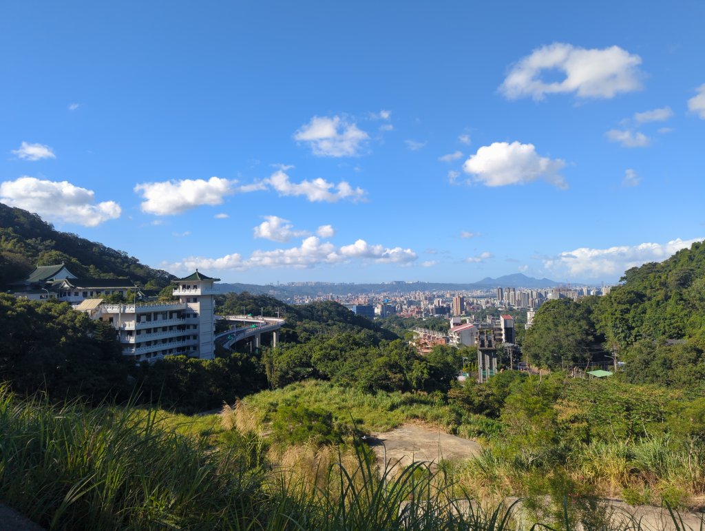 2025.10.18－微笑山線：【天上山系】望月亭桐花段封面圖