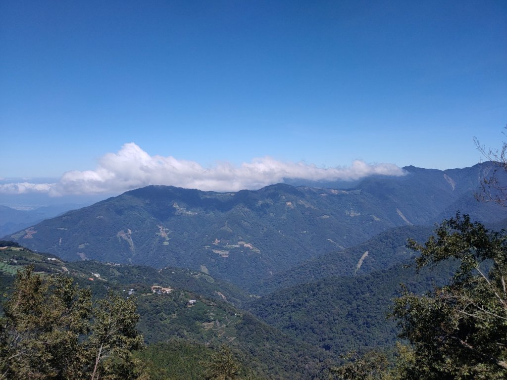 觀霧雲海山林之美封面圖
