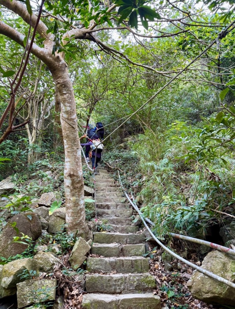 楓港紫竹林龍峰寺起登 里龍山(小百岳#80)來回_2964822
