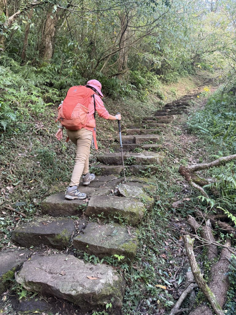 二子坪步道 經遊憩區 上面天山 20251108_2935047