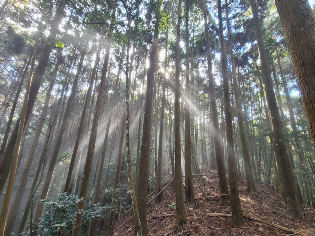 鳥洗縱走_20221010_1879075