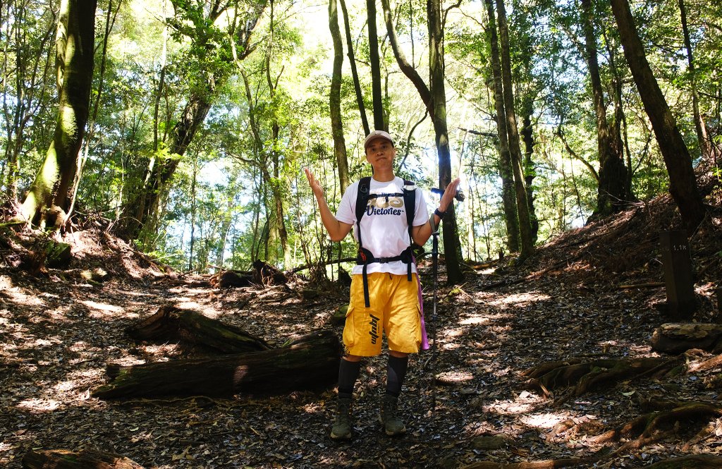 雪見大板根_2924675