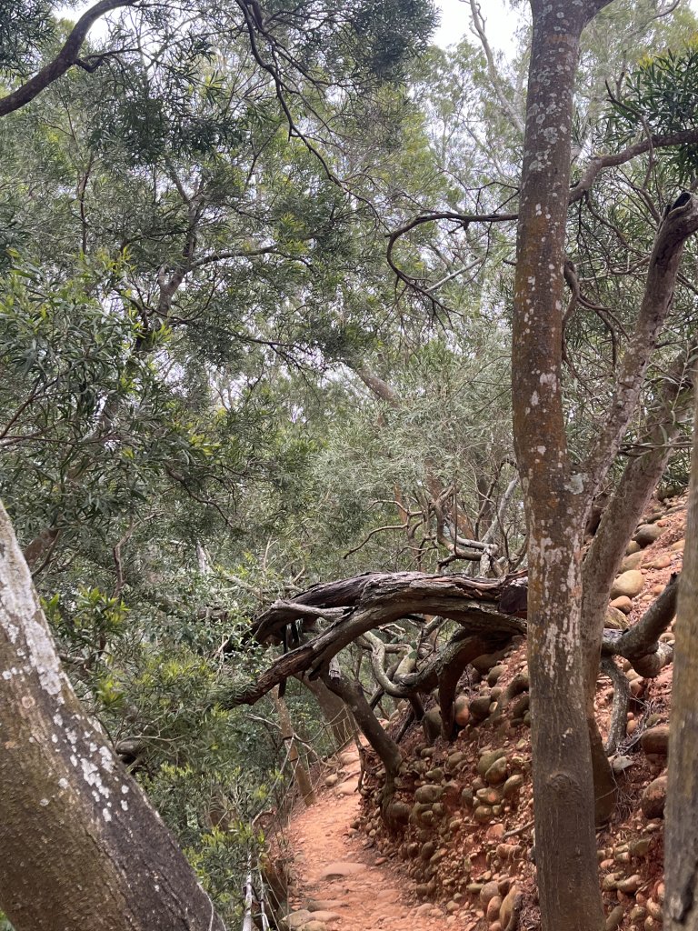 2024/03/29火炎山_2749027