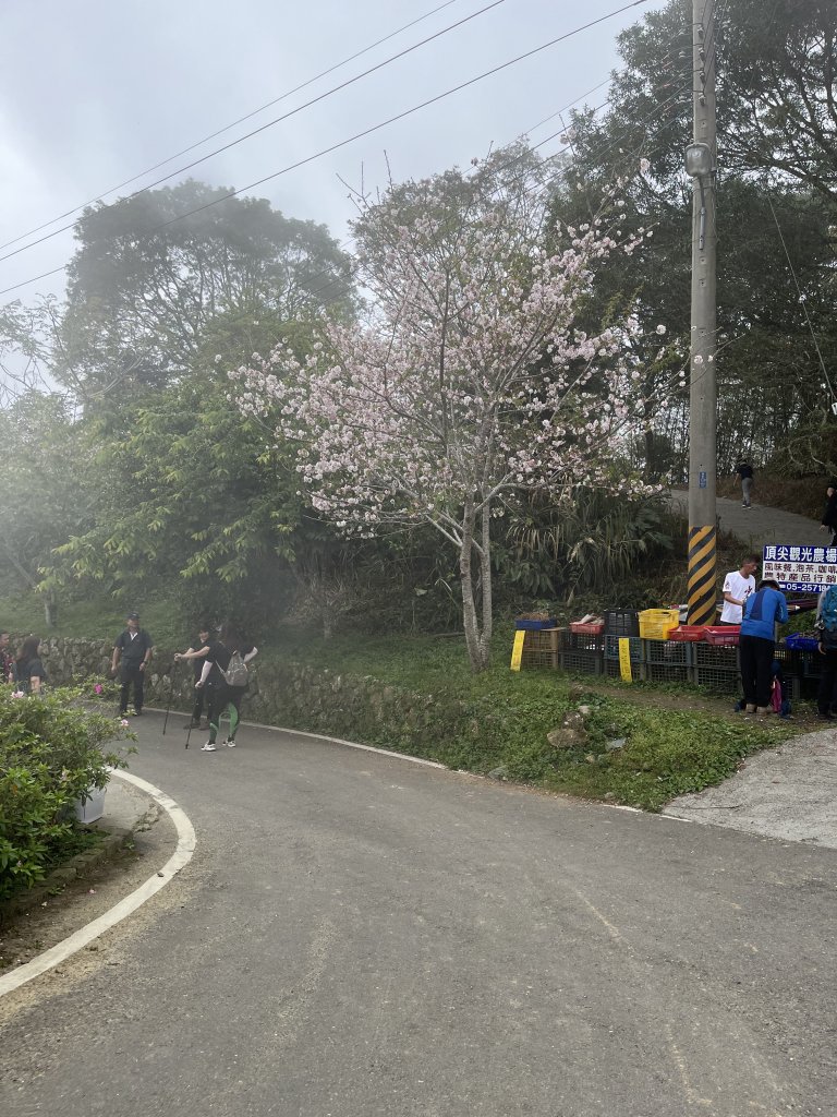 2022_0320_雲嘉小百岳三座_大尖山_梨子腳山_獨立山_2030522