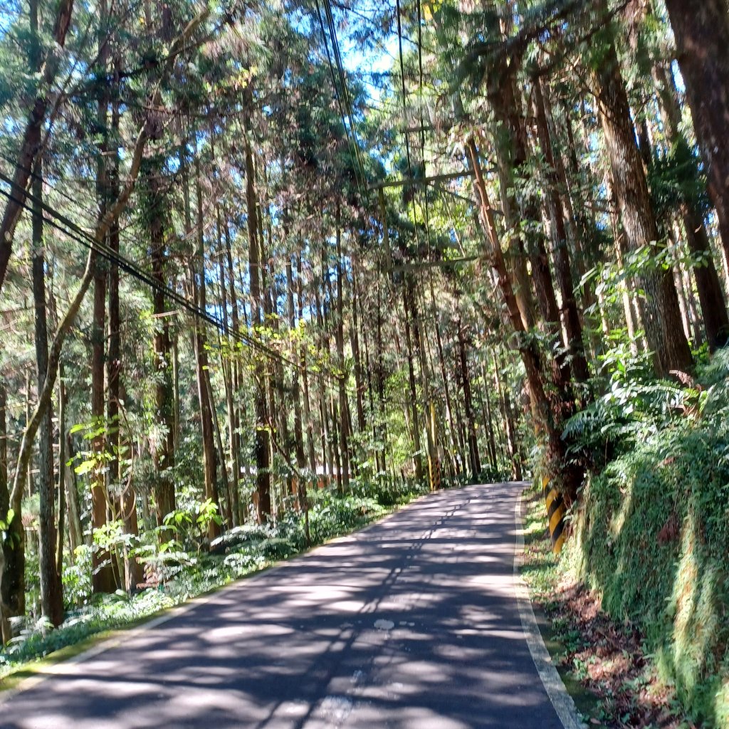 【苗栗南庄】向天湖山光天高山小O繞_2933142