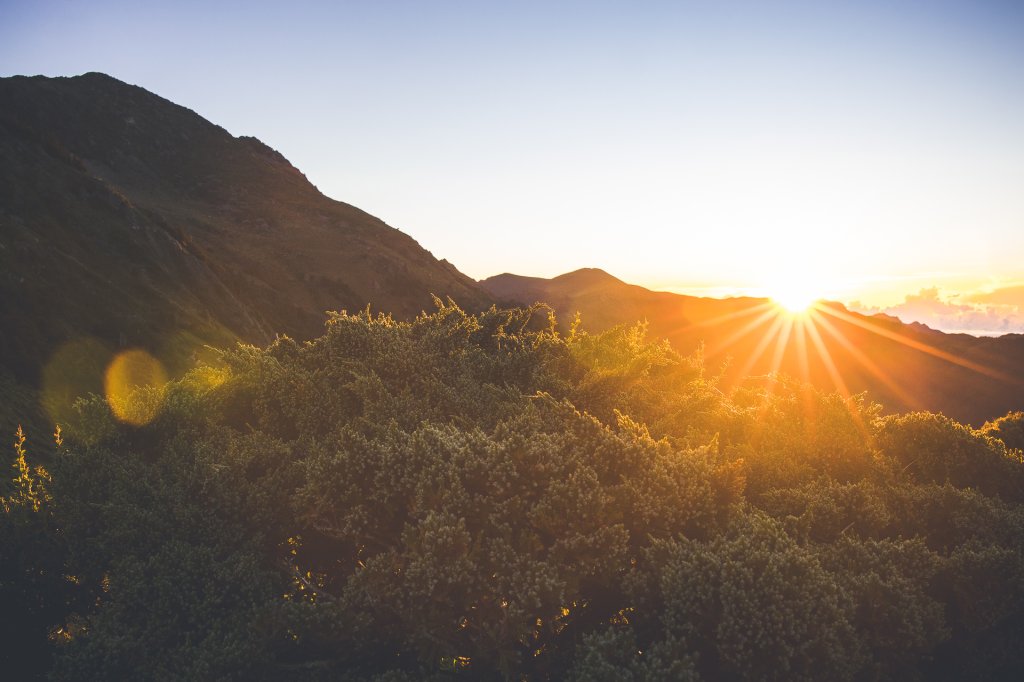 20220806~12-中央山脈南二段縱走D2_2442134