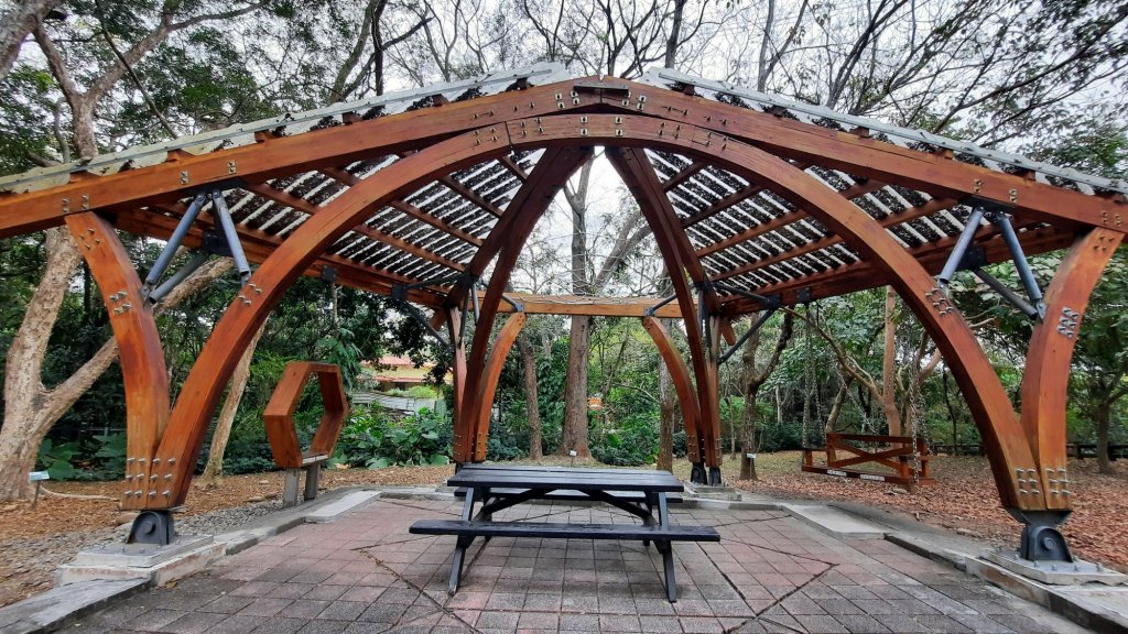 《南投》河岸賞鳥｜竹山下坪步道及自然教育園區O繞20230225_2042178