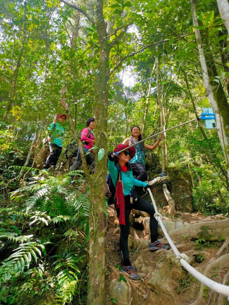 桶後越嶺古道怎麼那麼優秀_1073043