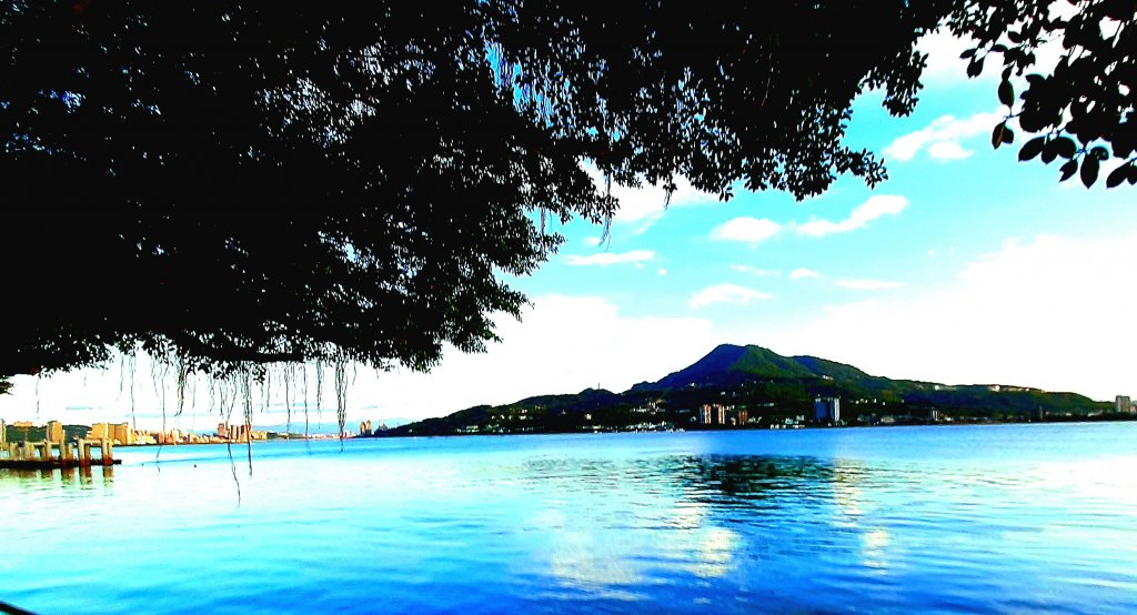 臺北趴趴走｜文山森林、台大、林森、淡水、大安森林、象山_2271925