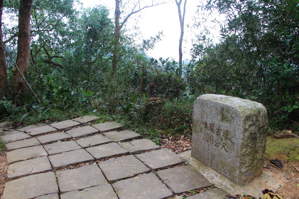 南庄 景點多 ~ 走吧 ! 登山健行休閒旅遊 ..._223474