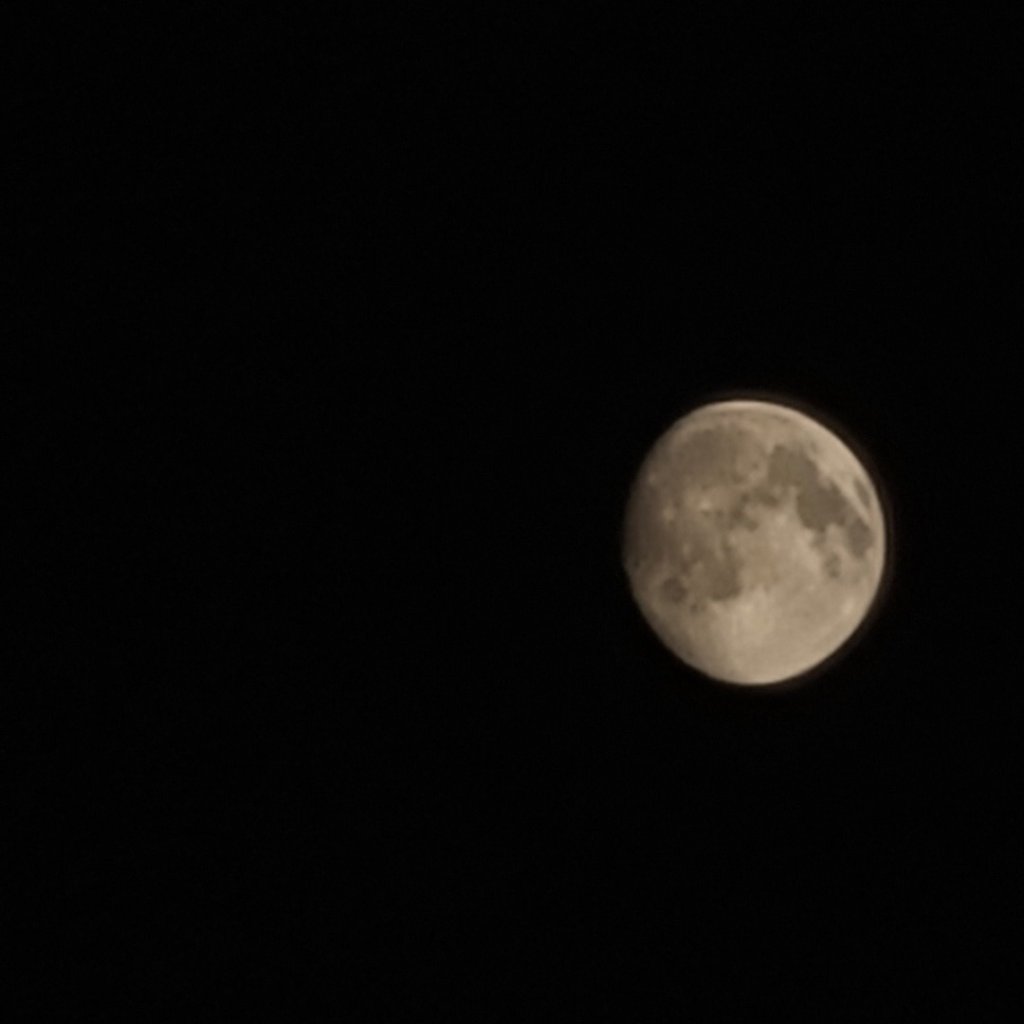 劍潭山是座公園山_1322360