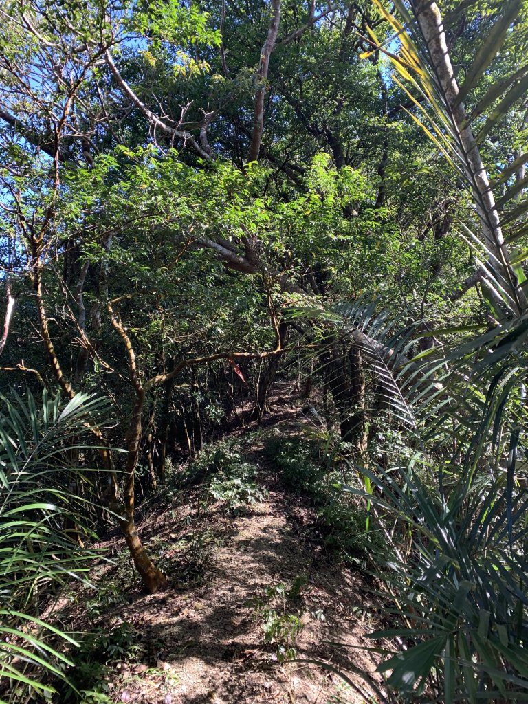 20250130屏東北湖呂山-古華山_2705930