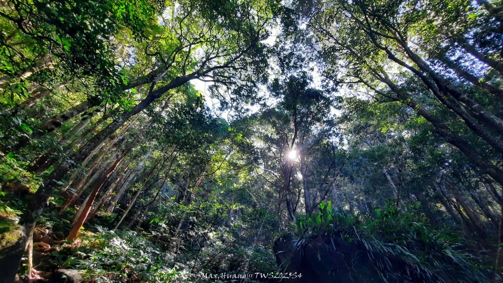 《新竹》斷崖神木｜北得拉曼步道小P繞20251017_2917469