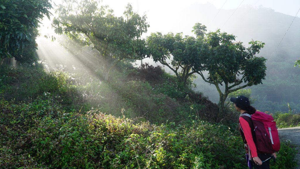 山海圳綠道之東西口越嶺道_1634583