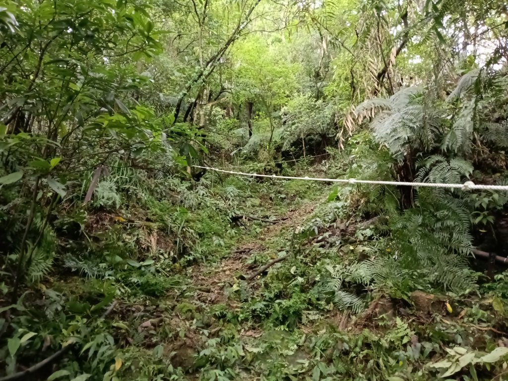 平溪區三功大厝+番子坑山+千階嶺步道O型_2781104