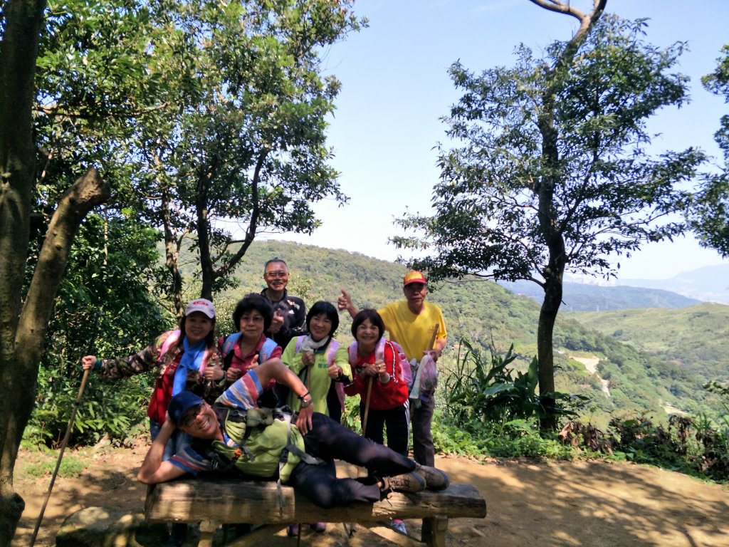 2020 03 16 樹林大棟山_881561