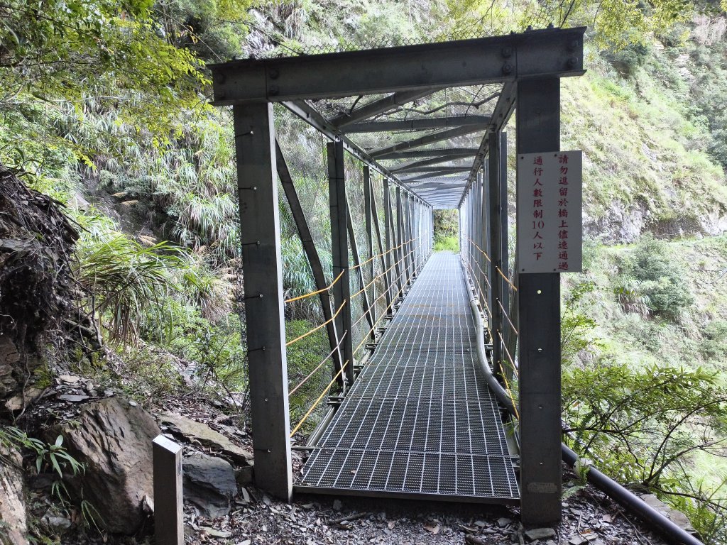 [玉山尋寶任務-07/12] 2025_0824 八通關雲龍瀑布步道_2870525
