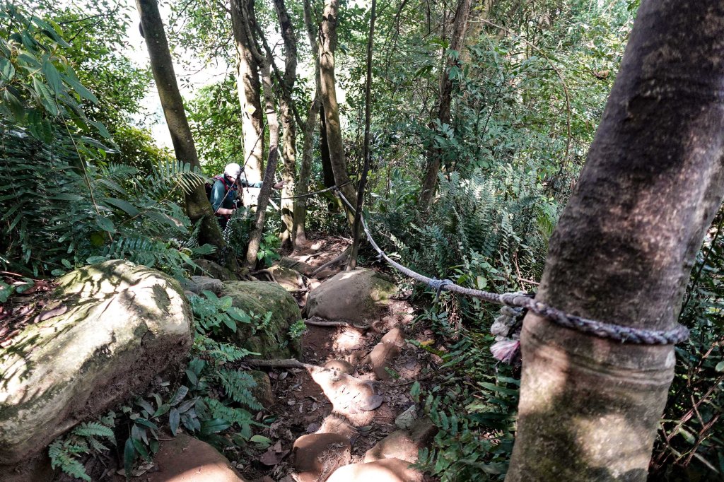 溪洲山小百岳｜福山巖登山步道_2898907