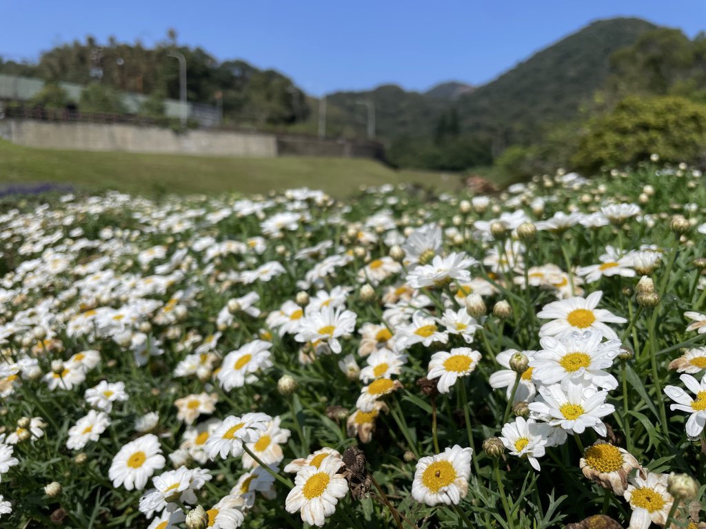 2024臺北大縱走第四段來回走_2451060