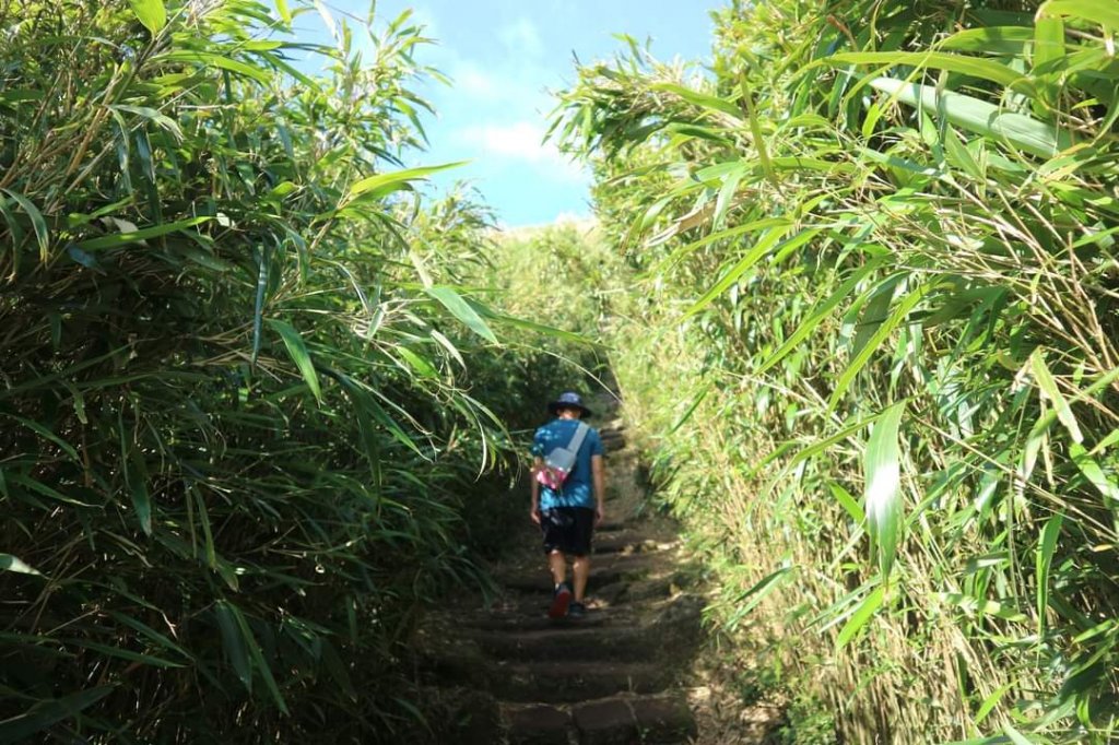 小百岳NO.2北市最高峰七星山主峰 東峰，夢幻湖 七星公園  苗圃線步道_2324738